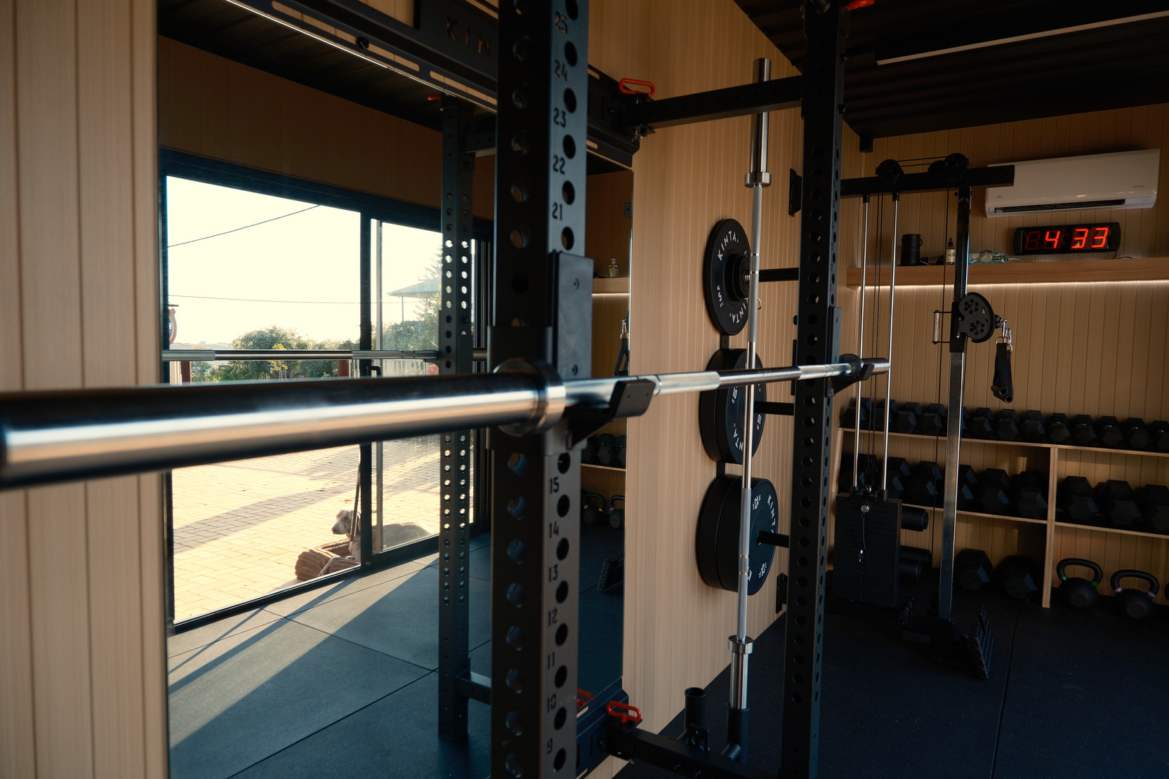 Inside a finished crgo unit: rig, dumbbells and cable station
